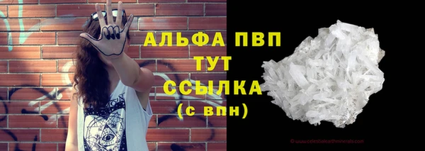 прущие грибы Абдулино