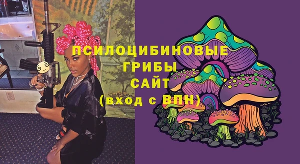 винт Алексеевка