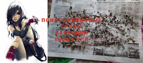 ПСИЛОЦИБИНОВЫЕ ГРИБЫ Абинск