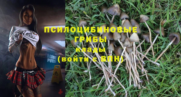 индика Алзамай