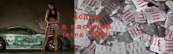 прущие грибы Абдулино