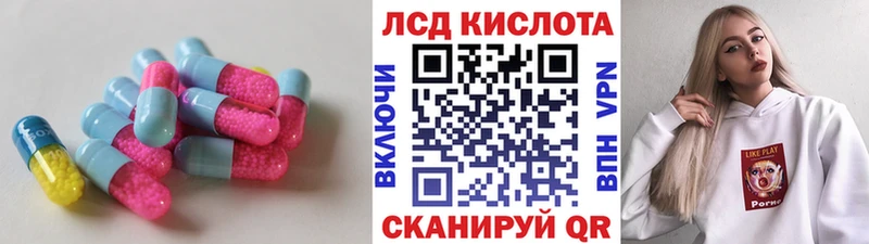Лсд 25 экстази ecstasy  Шахунья 