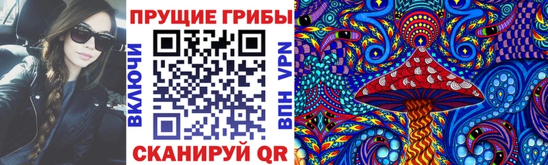 Псилоцибиновые грибы GOLDEN TEACHER Шахунья